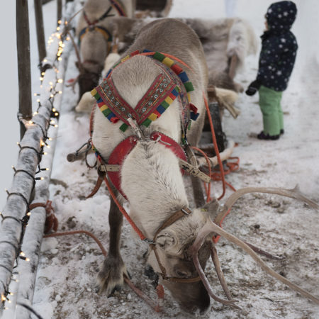 Rovaniemi and Santa's Village - Lapland Holidays