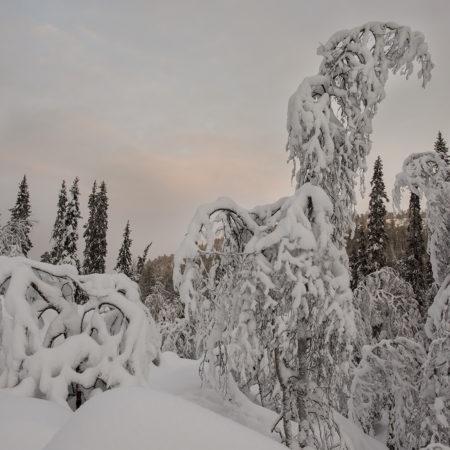 Frozen Waterfalls - Korouoma, Winter in Finland 