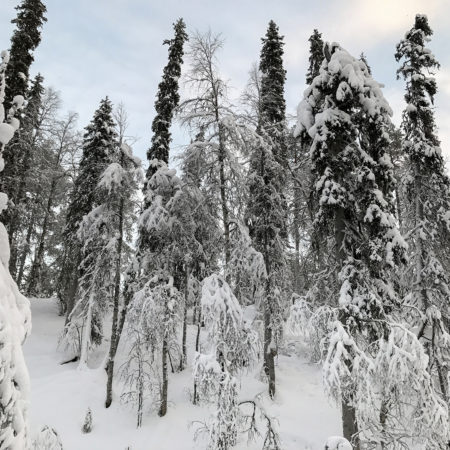 Frozen Waterfalls - Korouoma, Winter in Finland 