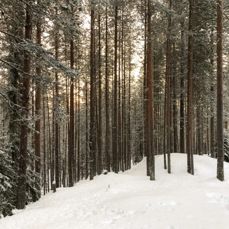 Frozen Waterfalls – Korouoma, Winter in Finland 